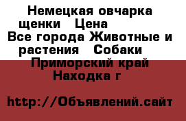 Немецкая овчарка щенки › Цена ­ 20 000 - Все города Животные и растения » Собаки   . Приморский край,Находка г.